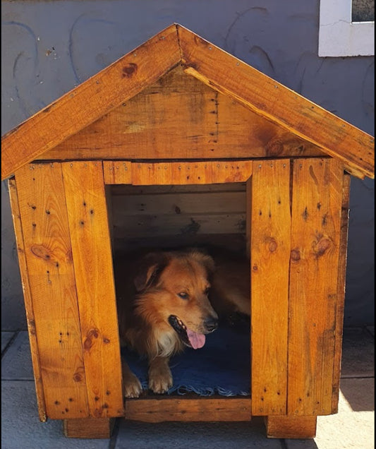 Wooden Dog house